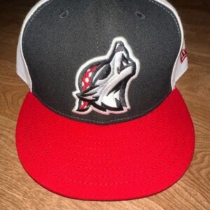 Erie Seawolves Hat